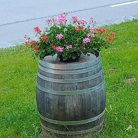 Ristobar Al Pont Bed and Breakfast