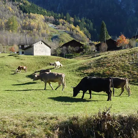 Ristobar Al Pont Oda ve Kahvaltı *