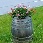 Ristobar Al Pont Bed and Breakfast