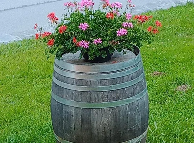 Ristobar Al Pont Bed & Breakfast